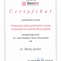 Powiększ obraz: certificate 11