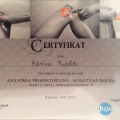 Powiększ obraz: certificate 13