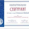 Powiększ obraz: certificate 8