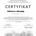 Powiększ obraz: certificate 13