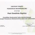 Powiększ obraz: certificate 31