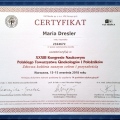 Powiększ obraz: certificate 41