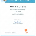 Powiększ obraz: certificate 39