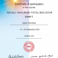 Powiększ obraz: certificate 2