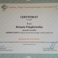 Powiększ obraz: certificate 1