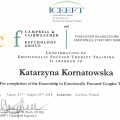 Powiększ obraz: certificate 5