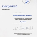Powiększ obraz: certificate 12