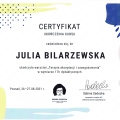 Powiększ obraz: certificate 1