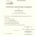 Powiększ obraz: certificate 2