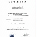 Powiększ obraz: certificate 14