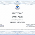 Powiększ obraz: certificate 13