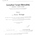 Powiększ obraz: certificate 2