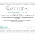 Powiększ obraz: certificate 3
