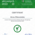 Powiększ obraz: certificate 11