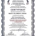 Powiększ obraz: certificate 3