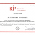 Powiększ obraz: certificate 1