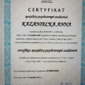 Powiększ obraz: certificate 1