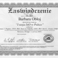Powiększ obraz: certificate 35