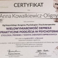 Powiększ obraz: certificate 4