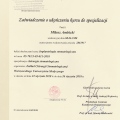Powiększ obraz: certificate 3