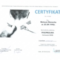 Powiększ obraz: certificate 10