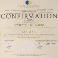 Powiększ obraz: certificate 2