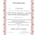 Powiększ obraz: certificate 3