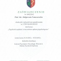Powiększ obraz: certificate 4