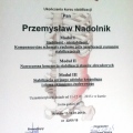 Powiększ obraz: certificate 3