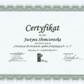 Powiększ obraz: certificate 20
