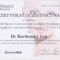 Powiększ obraz: certificate 9