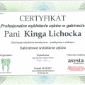 Powiększ obraz: certificate 5