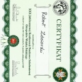 Powiększ obraz: certificate 11
