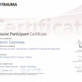 Powiększ obraz: certificate 7