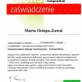Powiększ obraz: certificate 2