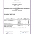 Powiększ obraz: certificate 19