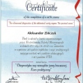 Powiększ obraz: certificate 8