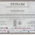 Powiększ obraz: certificate 2