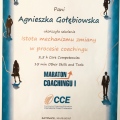 Powiększ obraz: certificate 9