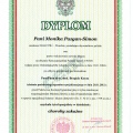 Powiększ obraz: certificate 5