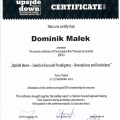 Powiększ obraz: certificate 2