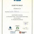 Powiększ obraz: certificate 4
