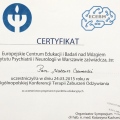 Powiększ obraz: certificate 13