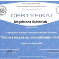 Powiększ obraz: certificate 11