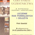 Powiększ obraz: certificate 29