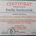 Powiększ obraz: certificate 2