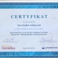 Powiększ obraz: certificate 4