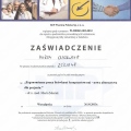 Powiększ obraz: certificate 8