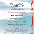 Powiększ obraz: certificate 3