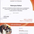 Powiększ obraz: certificate 26